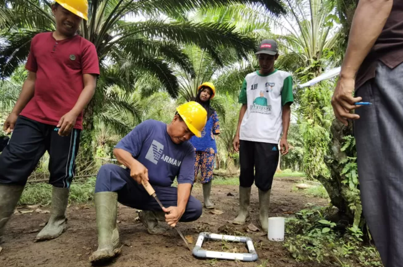 Petani Sawit Bangun Komunitas Pertanian Ramah Lingkungan